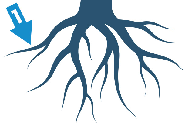 Root of the issue