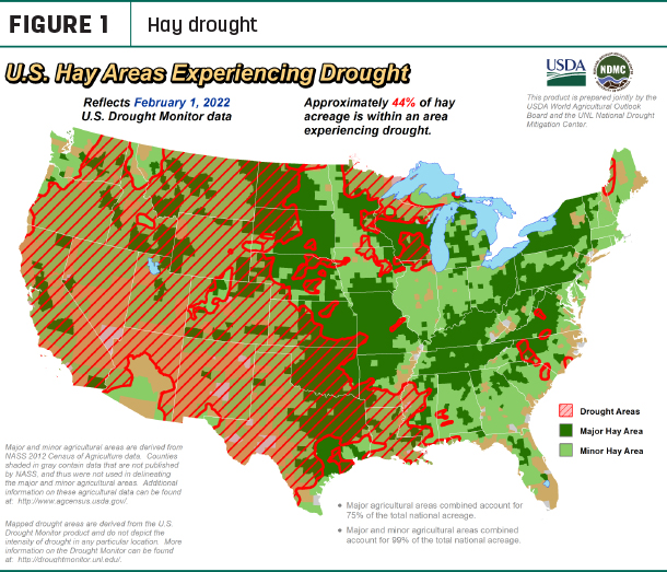 hay drought
