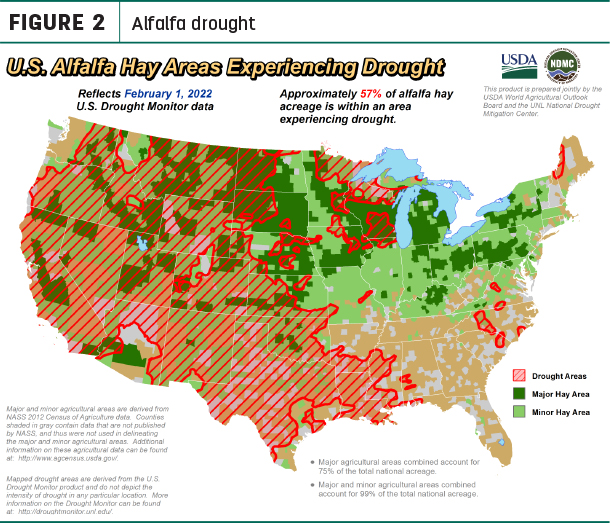 alfalfa drought