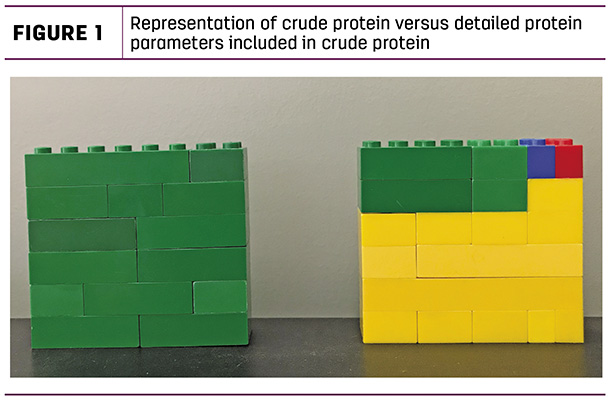 Representation of crude protein versus detailed protein