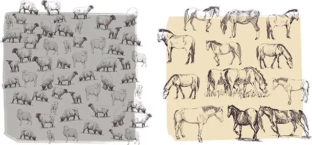 Animals