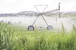 Irrigating
