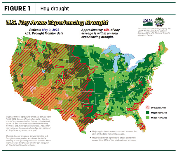 hay drought