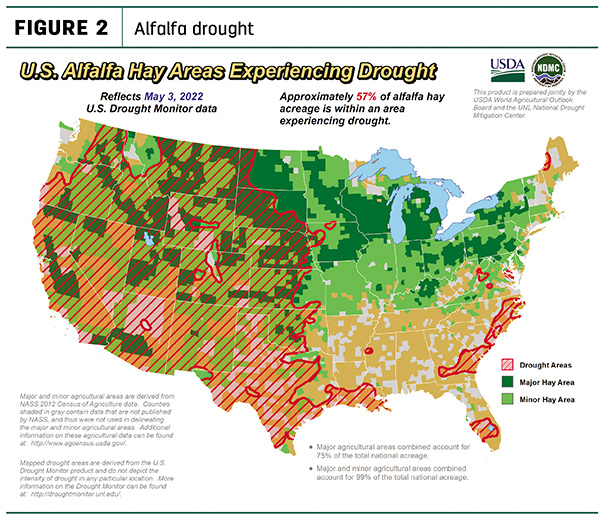 alfalfa drought