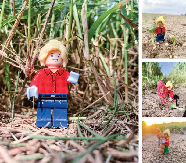 Lego farmer