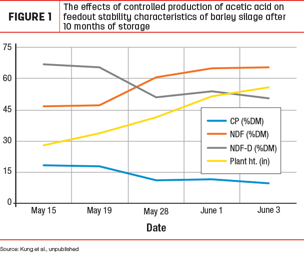 The effects of controlled production of acetic acid on feedout stability