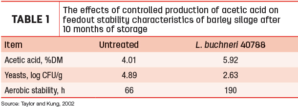 The effects of controlled production of acetic acid on feedout stability