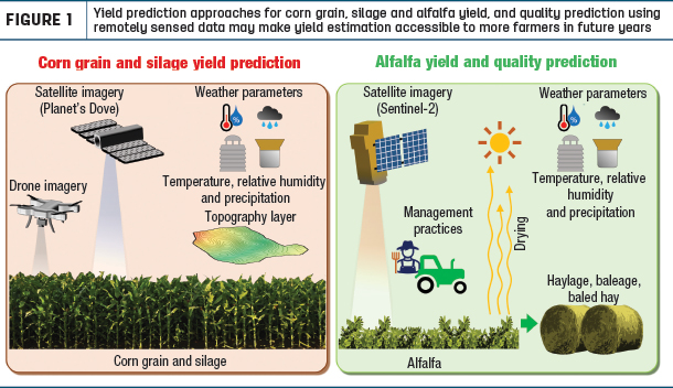 Yield predication approaches for corn grain silage
