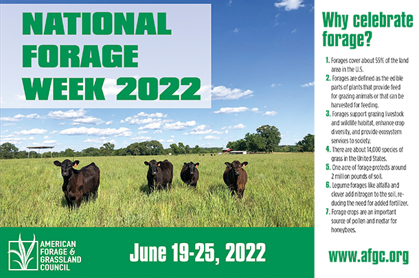 062122 pf national forage week 2022