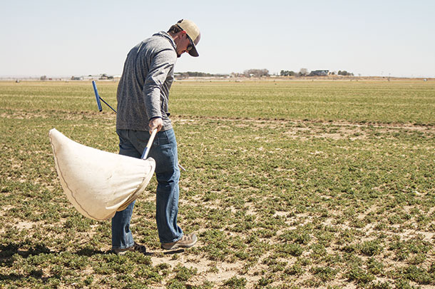 Dalton Hahn checks for weeds and pests