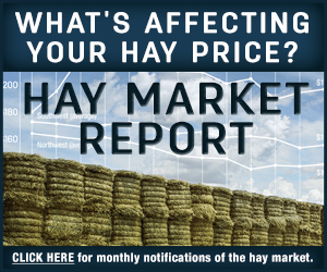 hay market report notification