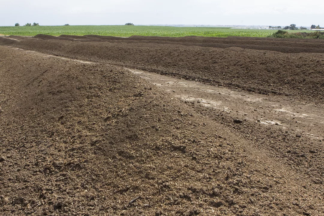 Manure_compost_bedding_-_Dixon.jpeg