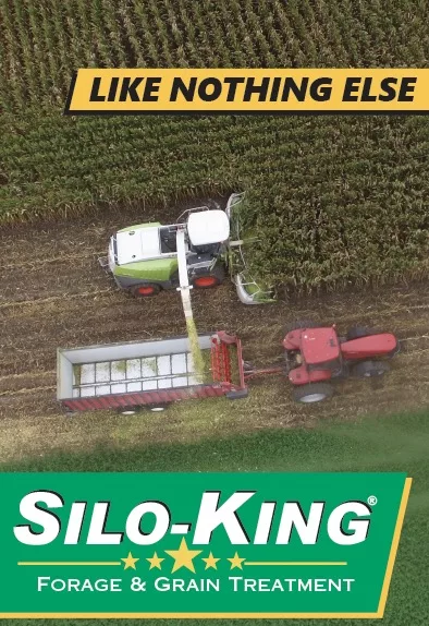 Silo-King