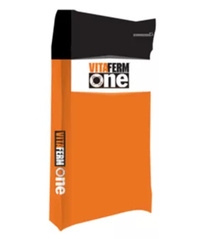 VitaFerm ONE.png
