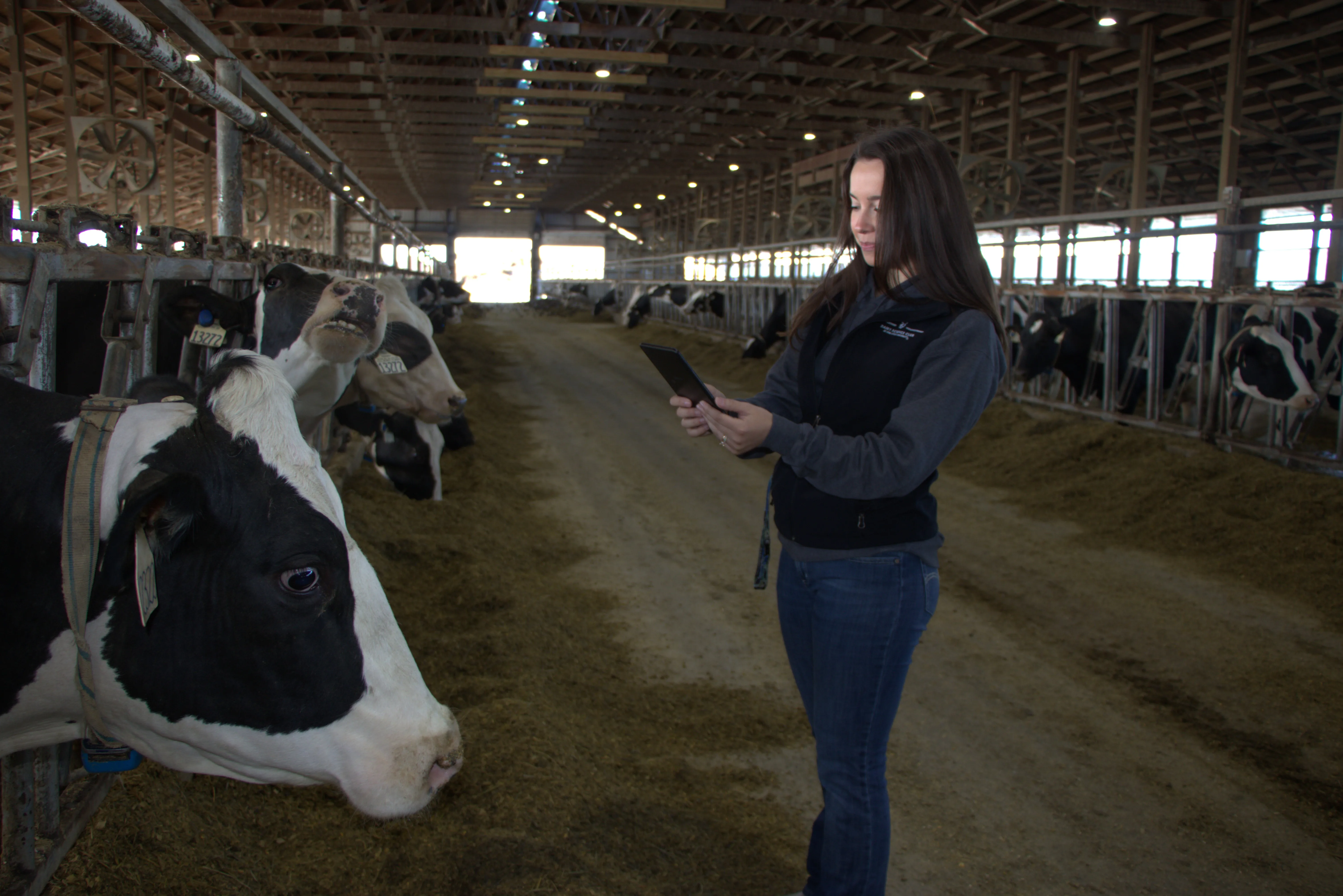 DRMS_HerdHQ Barn.jpg