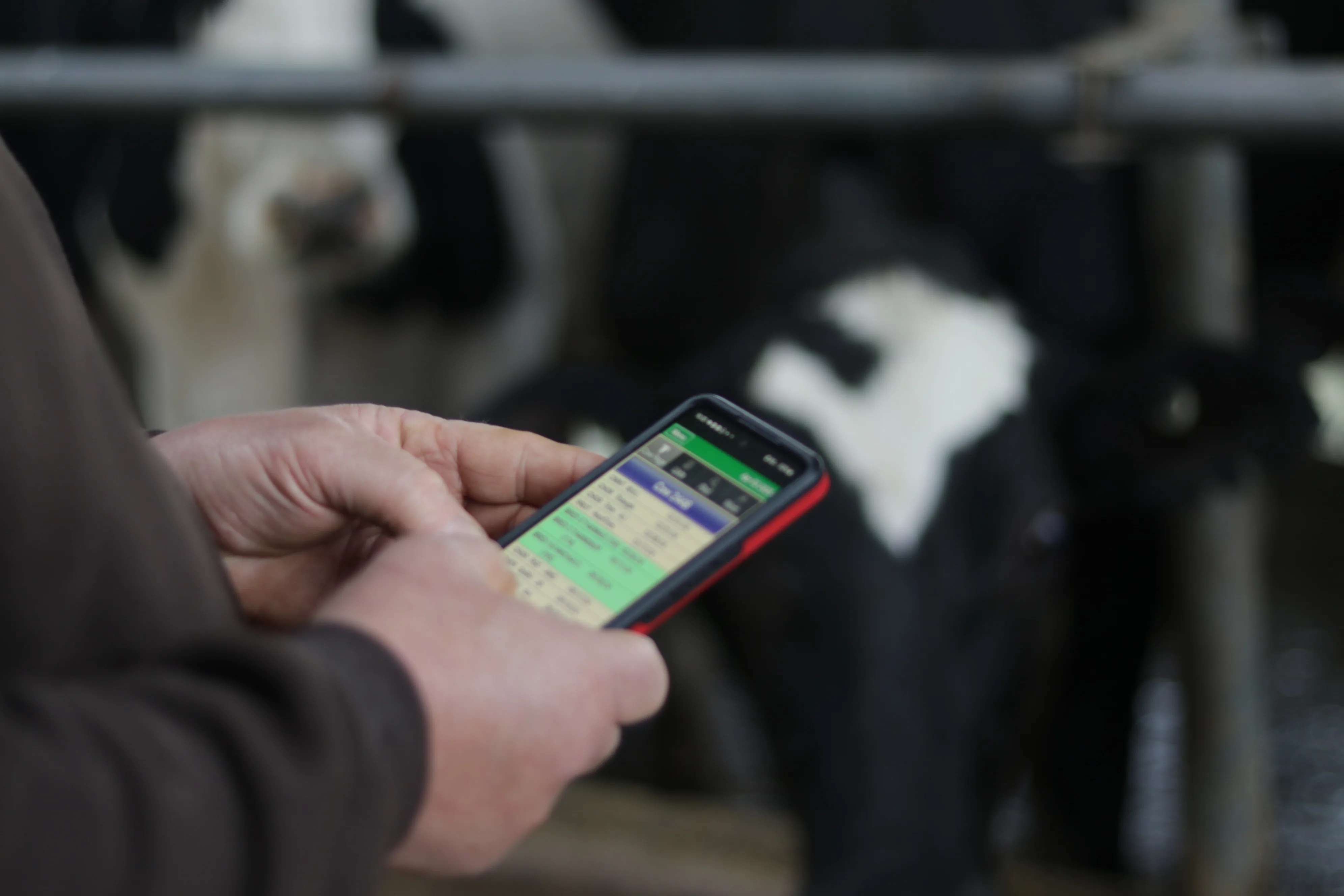 DRMS_Pocket Dairy Close Up.JPG