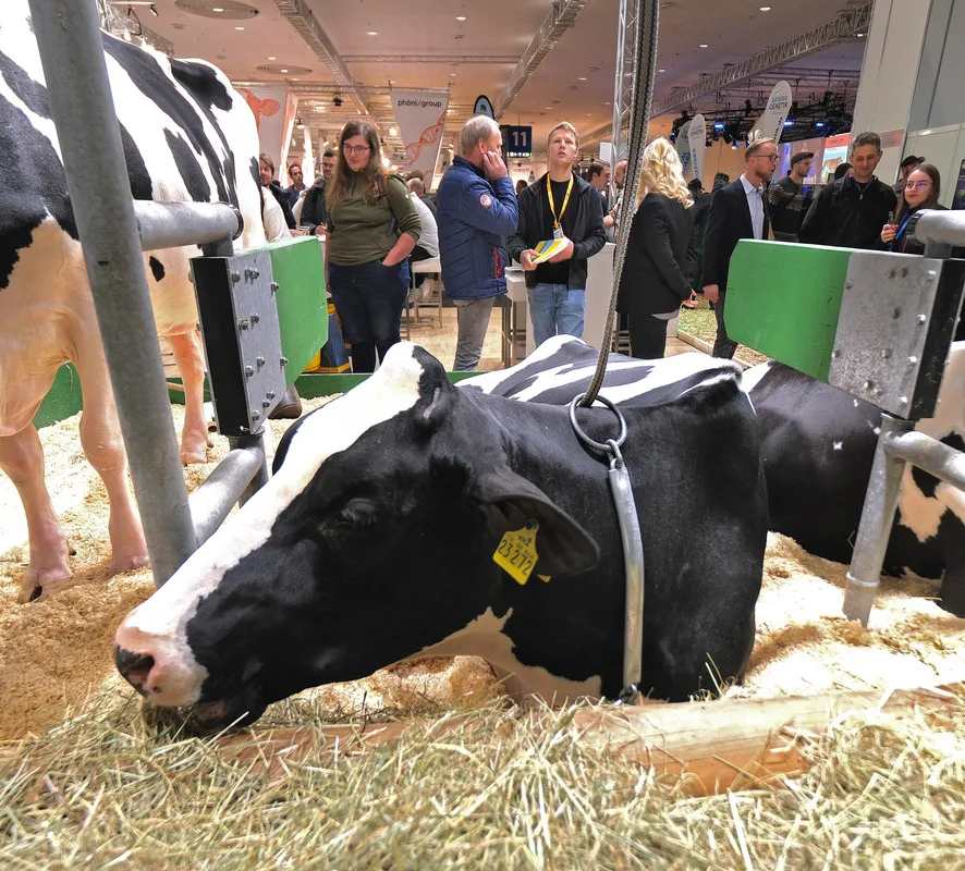 HUJE_Eurotier_Halle_11_19.jpg