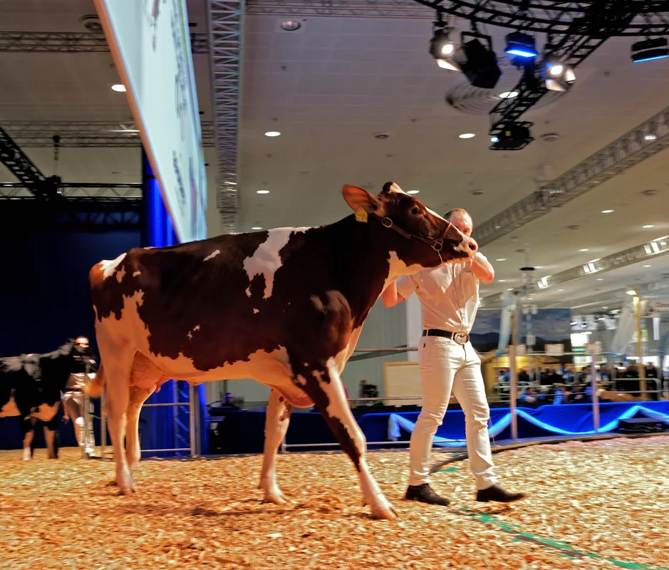 HUJE_Eurotier_Halle_11_30.JPG