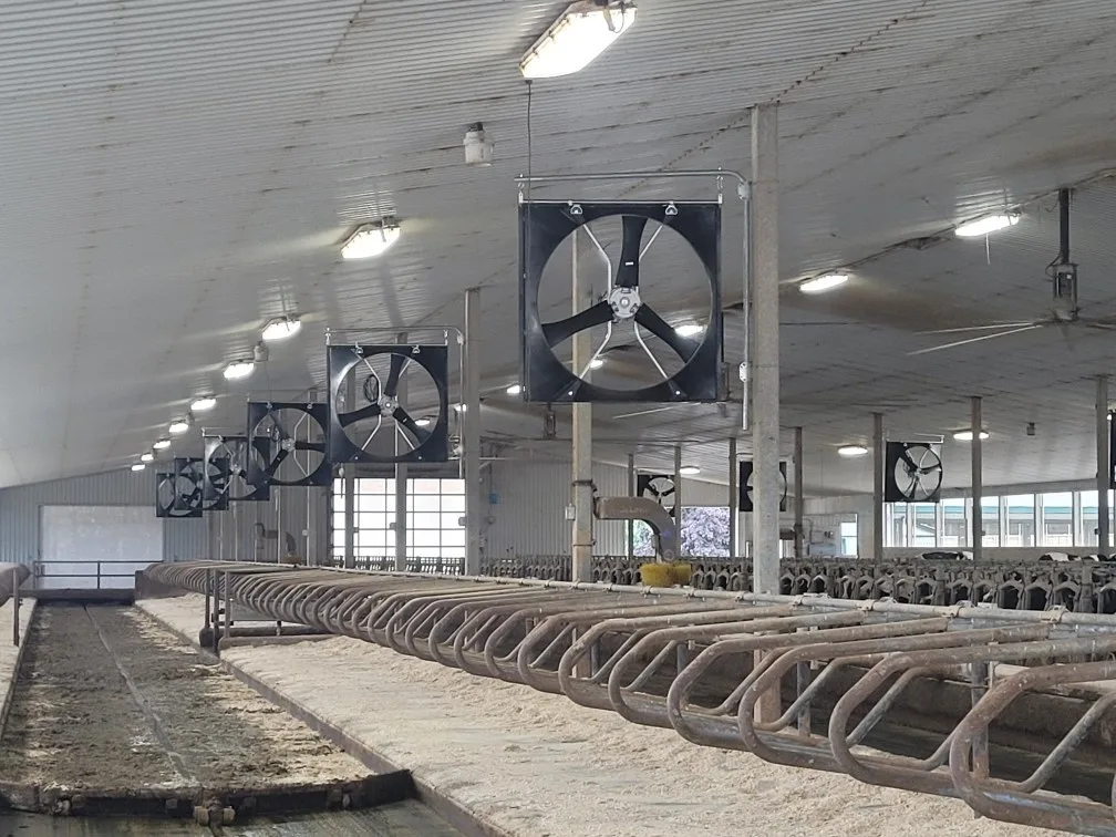 Abbifan 140-XXP-2 in barn.jpg