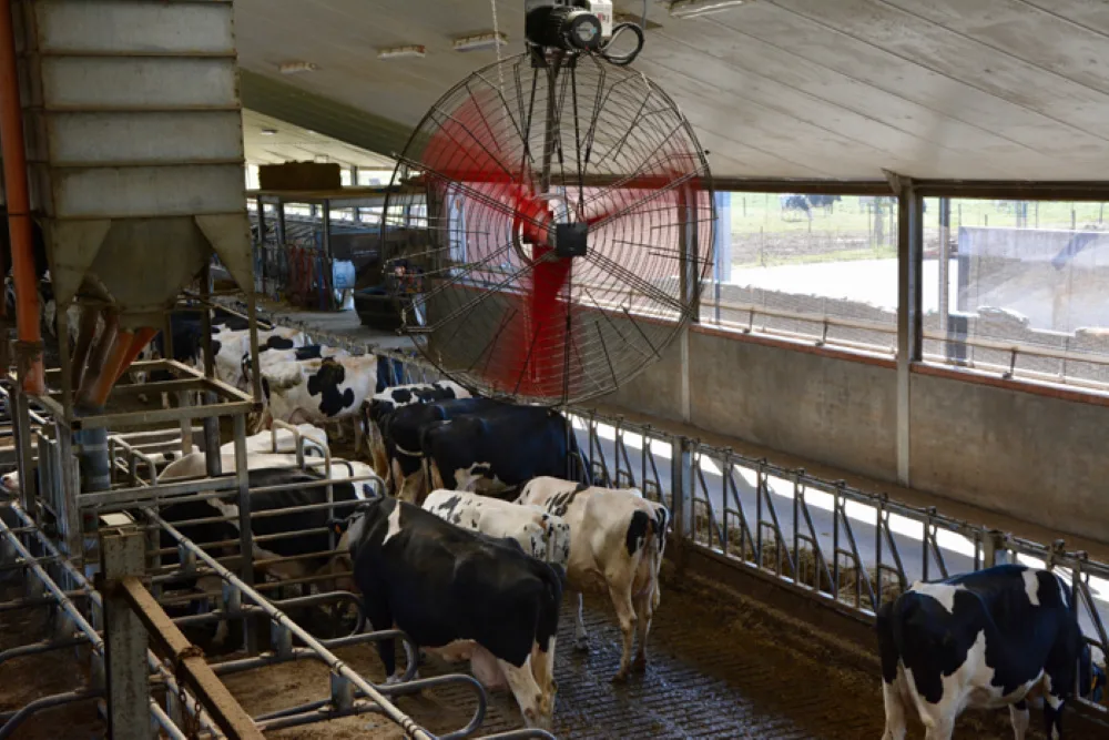 Multifan Dairy Fan.jpg