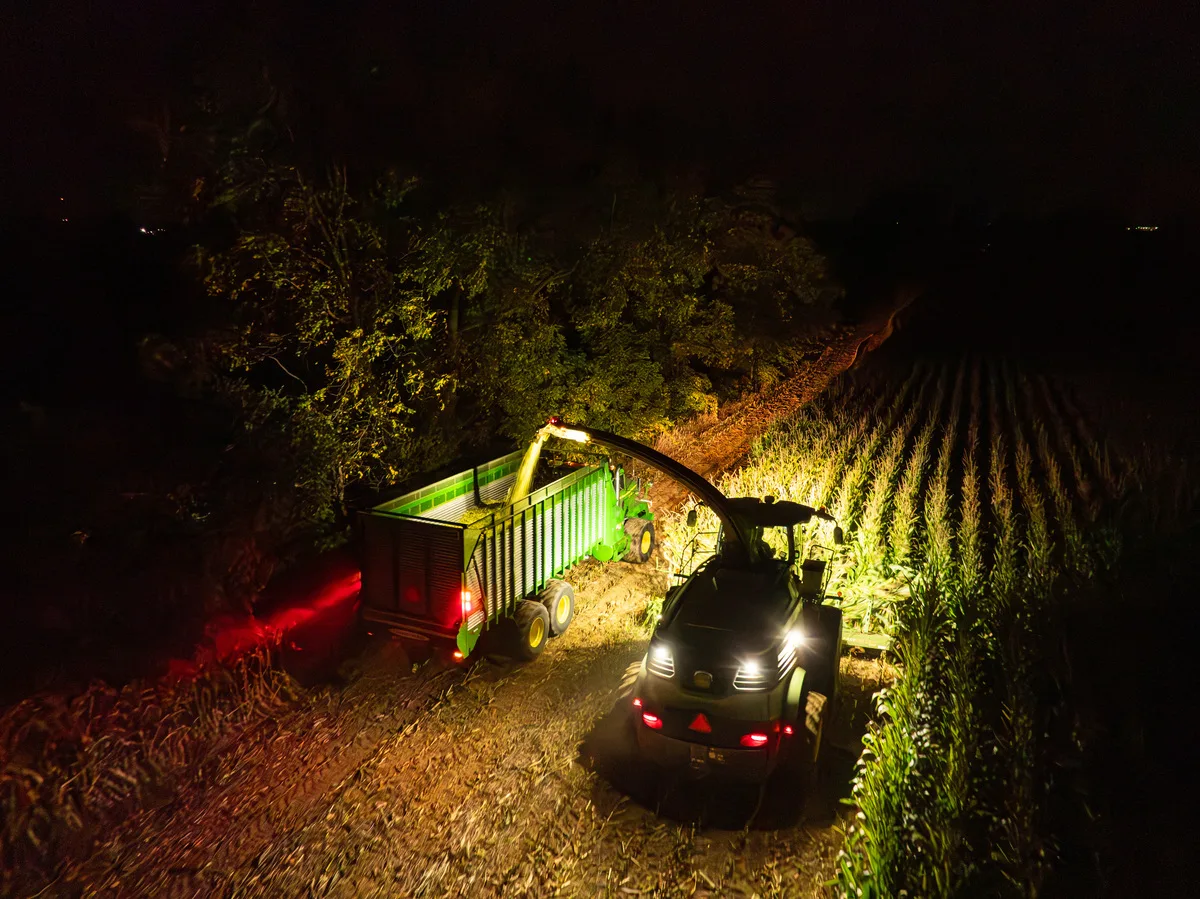 Horning--13.jpg