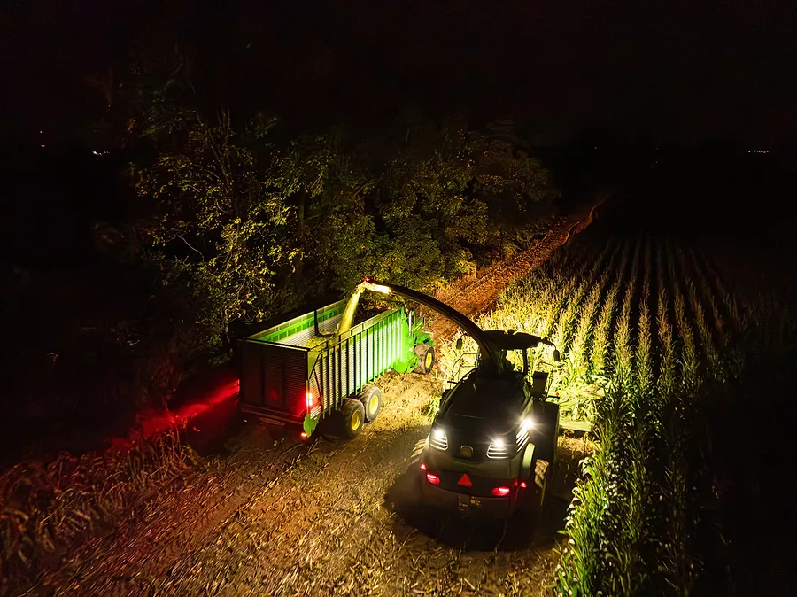 Horning--13.jpg