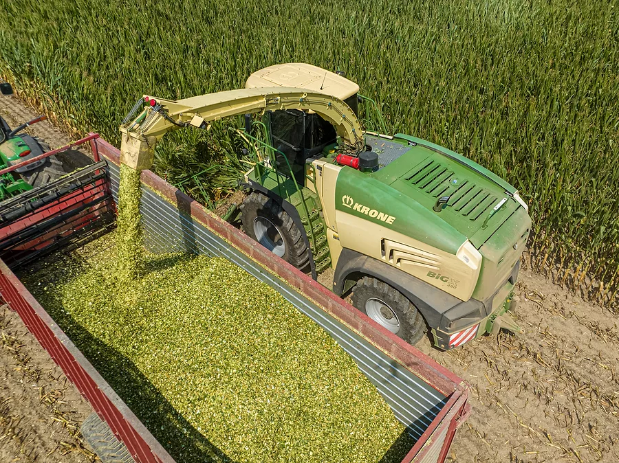 Krone-0154.jpg