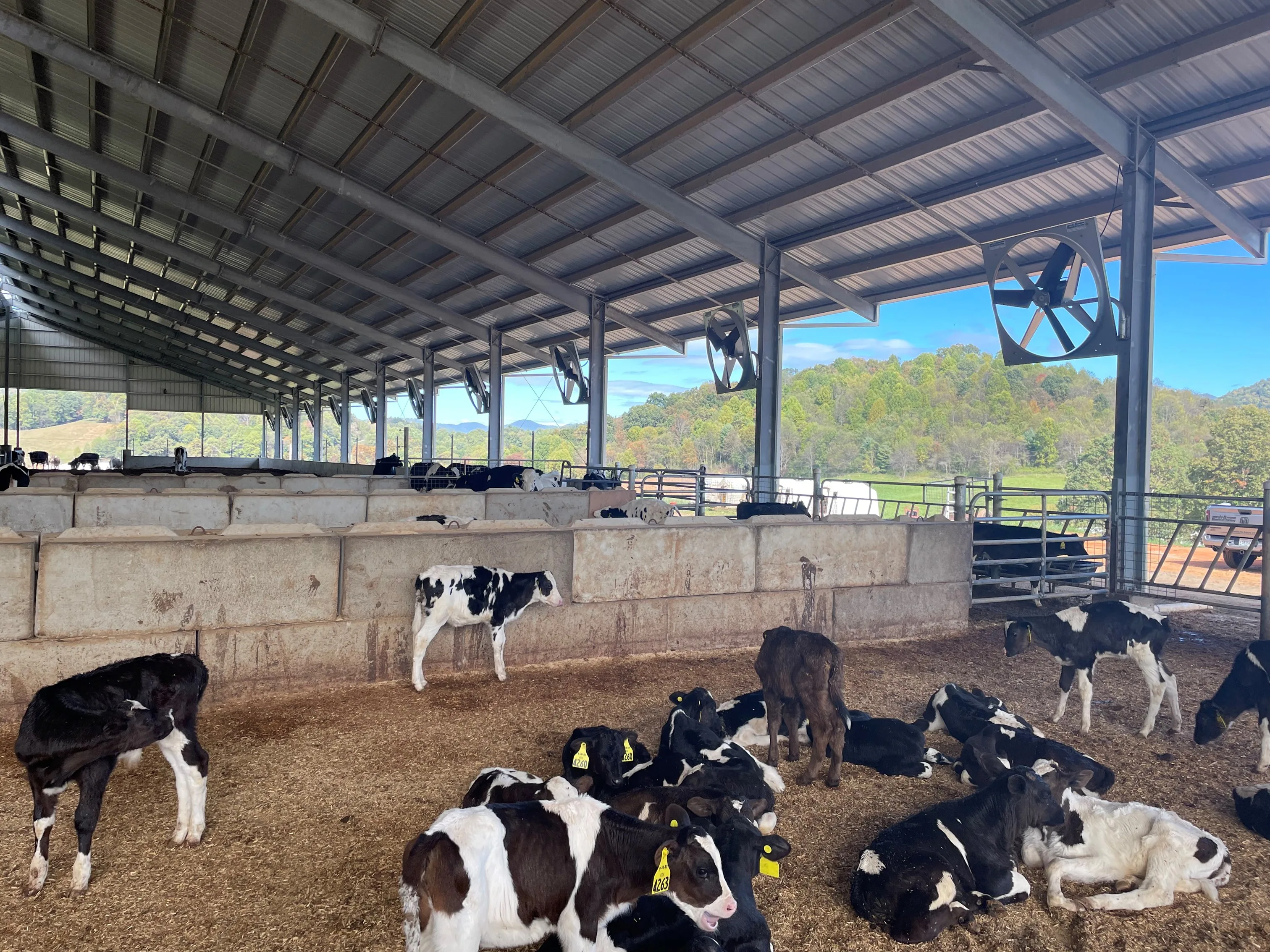 Ralph Ross & Sons Dairy 1.jpg
