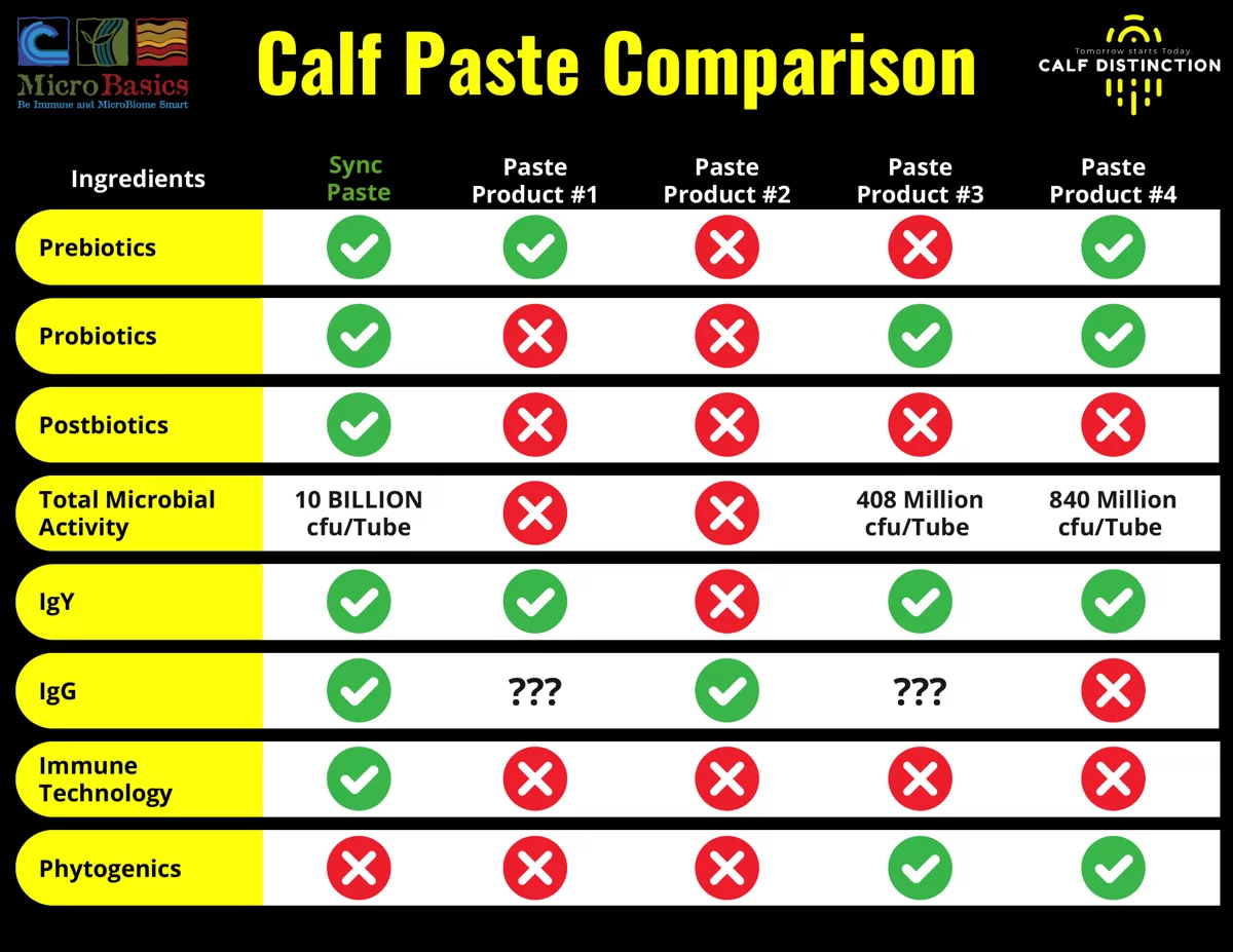 Sync Paste Product Comparison V2.png