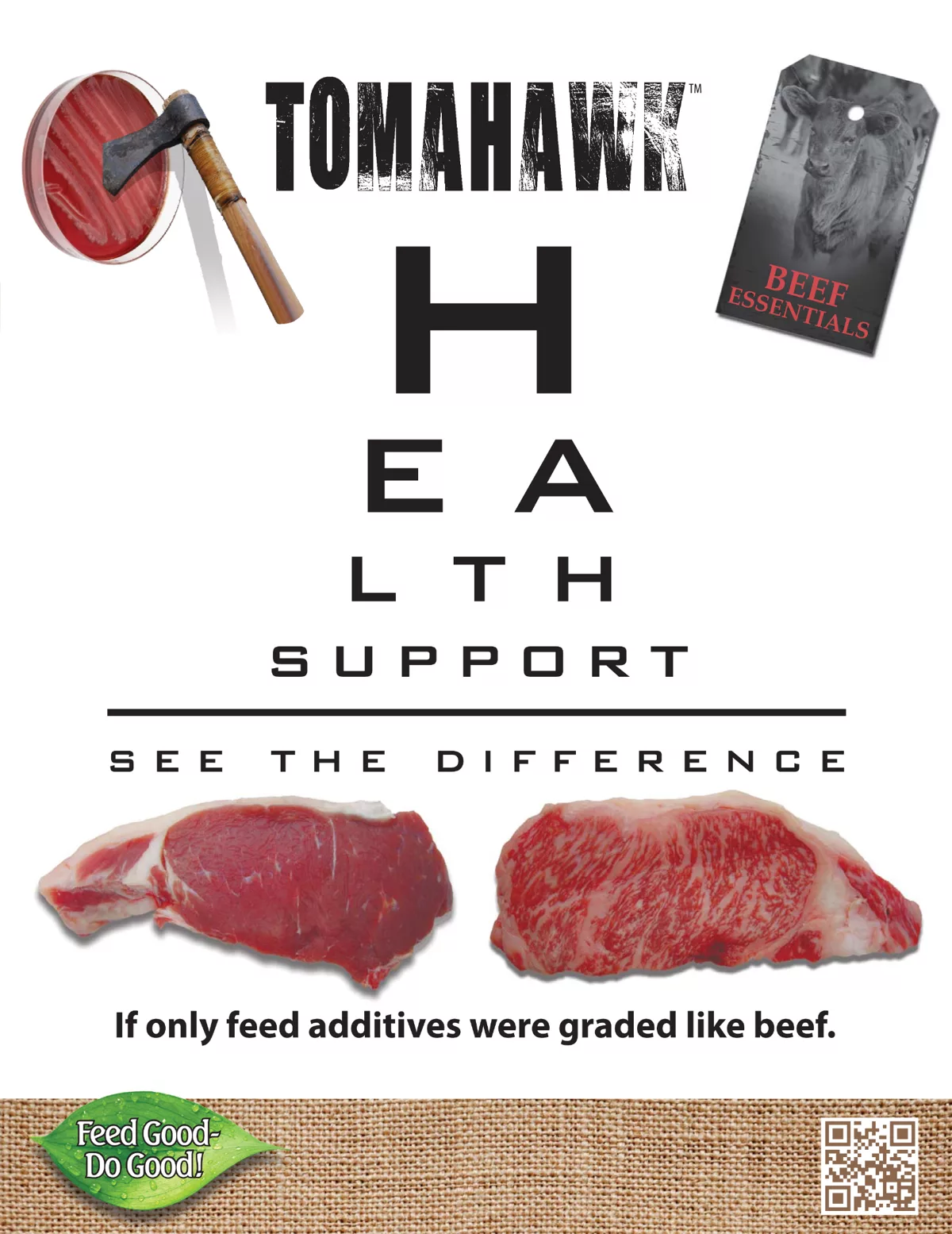 TomaHawk Brochure.png