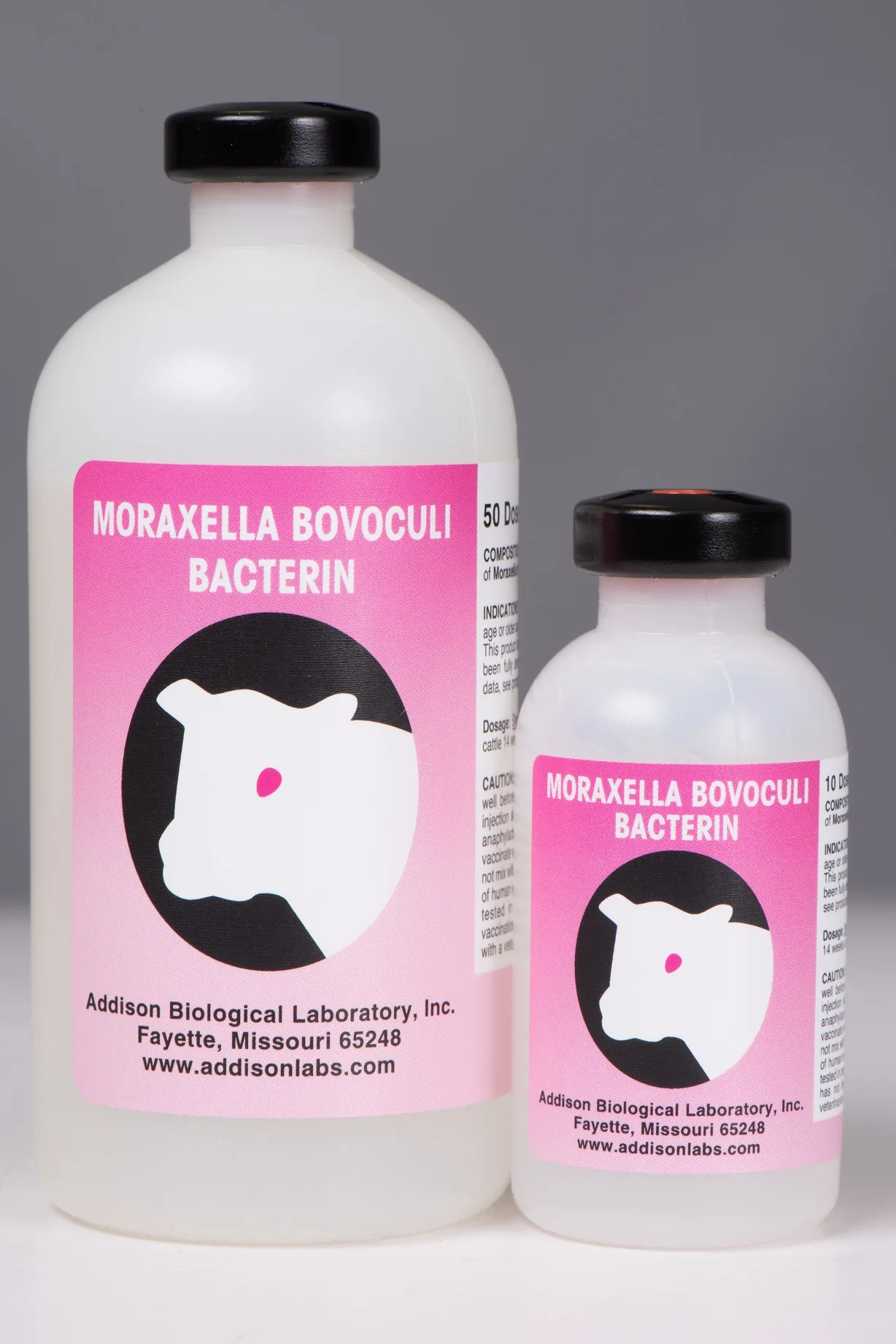 Moraxella bovoculi 50 & 10 dose LR 2