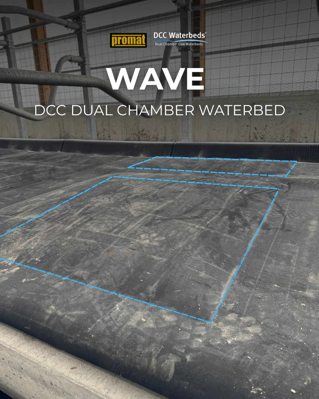 DCC Wave Graphic.png