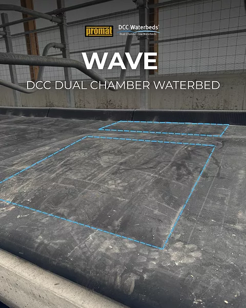 DCC Wave Graphic.png