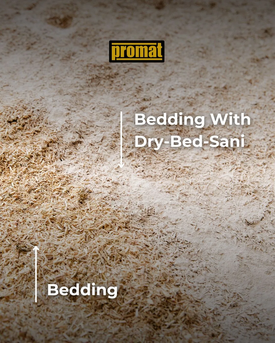 Dry Bed Sani Graphic.jpg