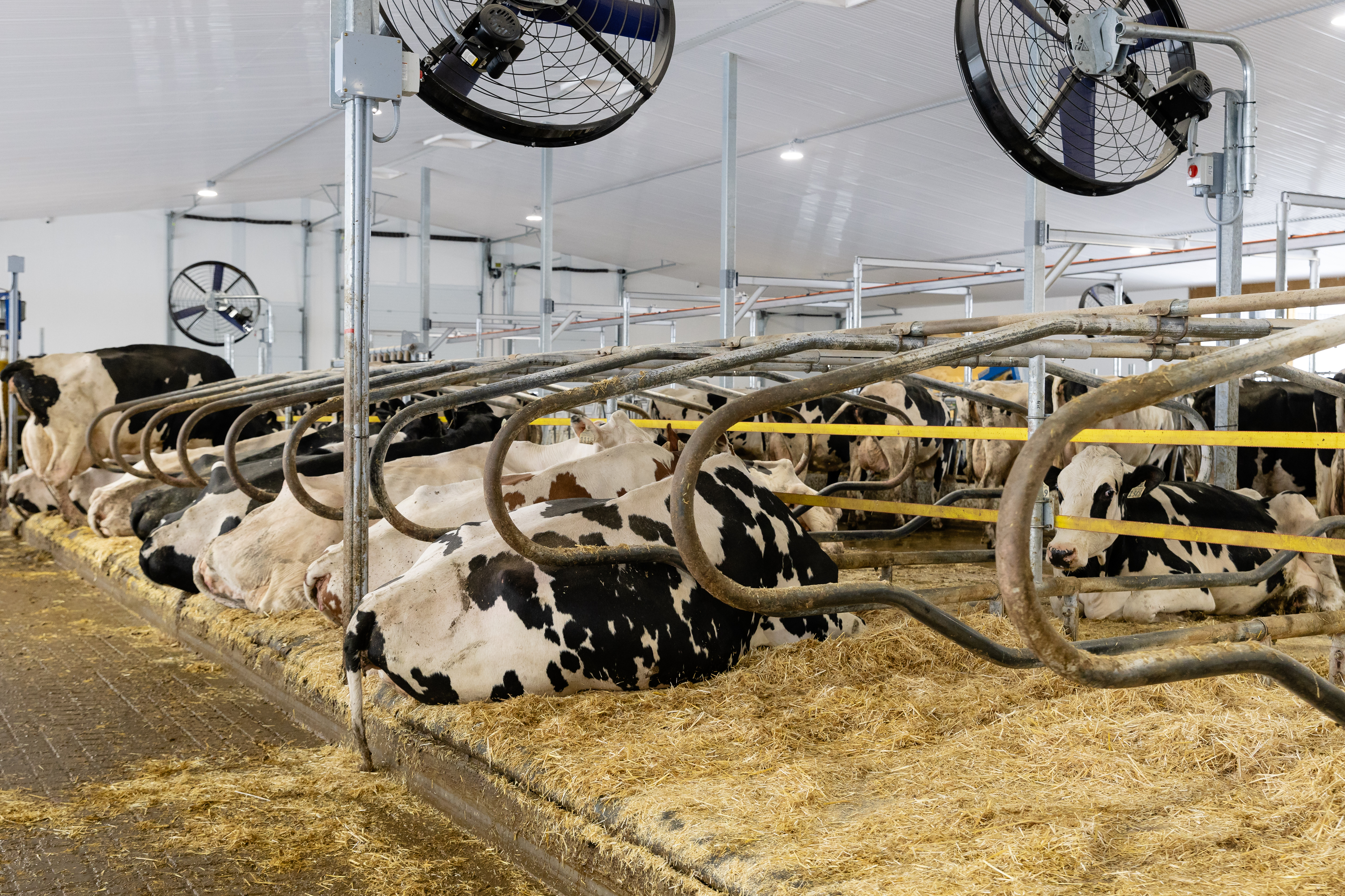 Pasture Mat  (3).jpg