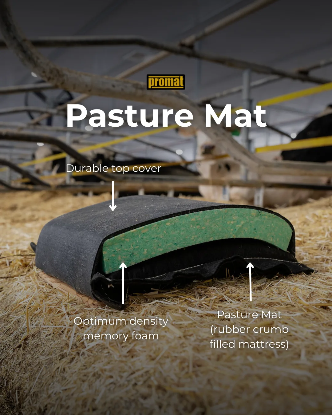 Pasture Mat Graphic.png