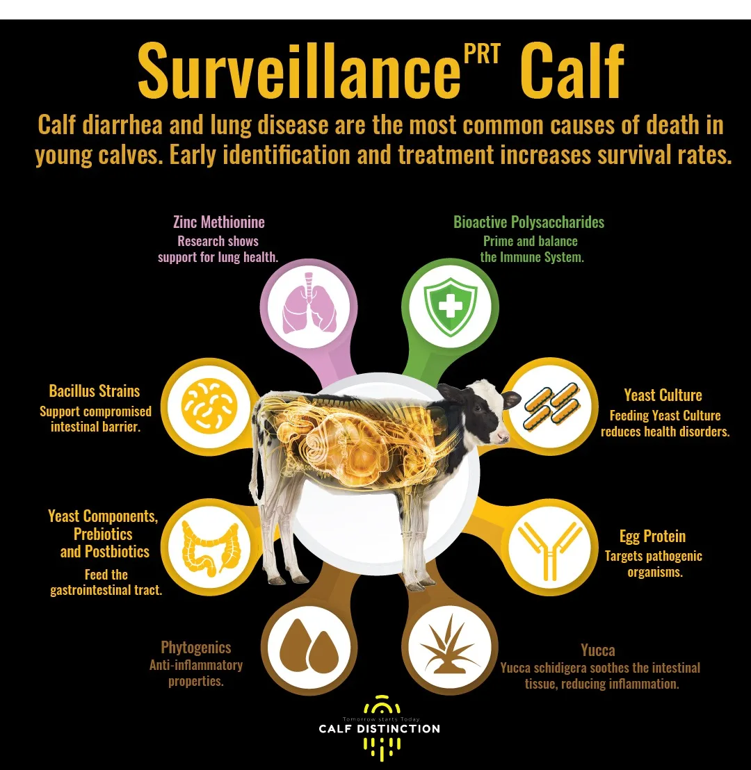 Surveillance Product Promo