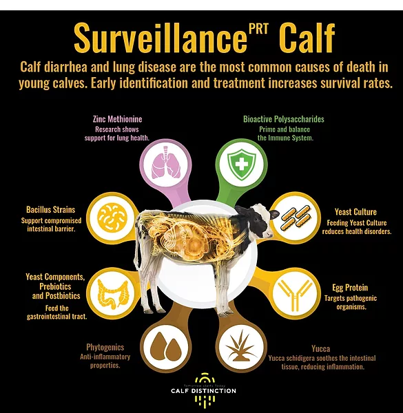 Surveillance Product Promo