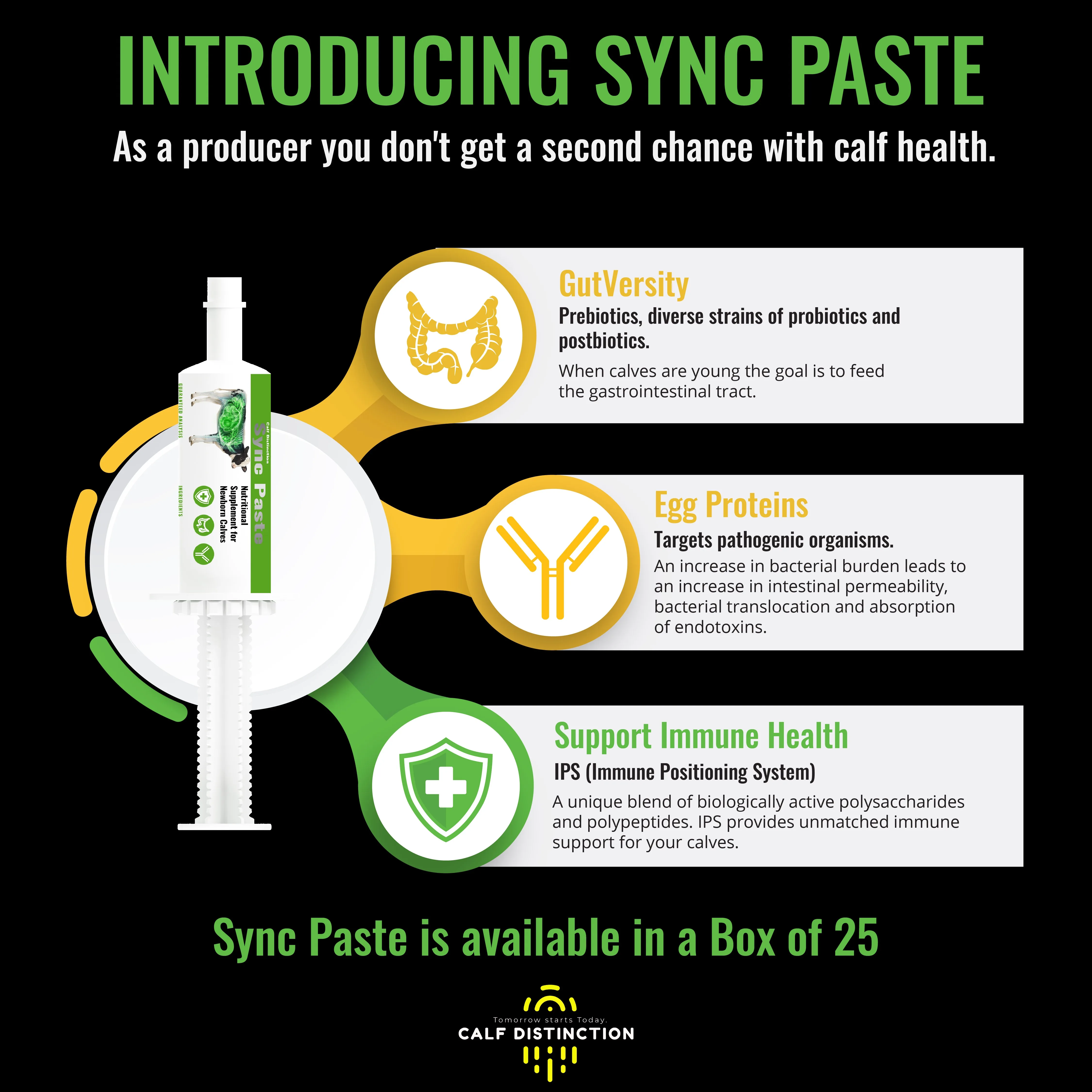 Sync Paste Launch