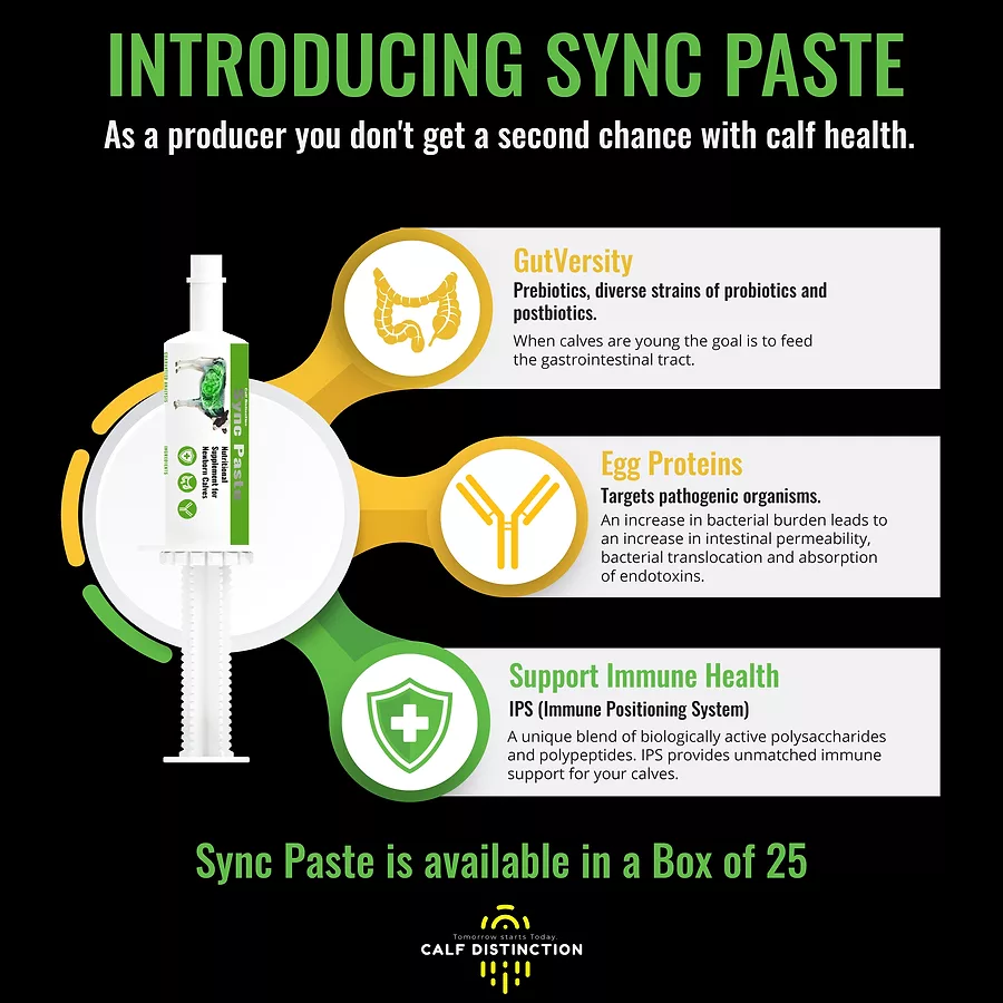 Sync Paste Launch