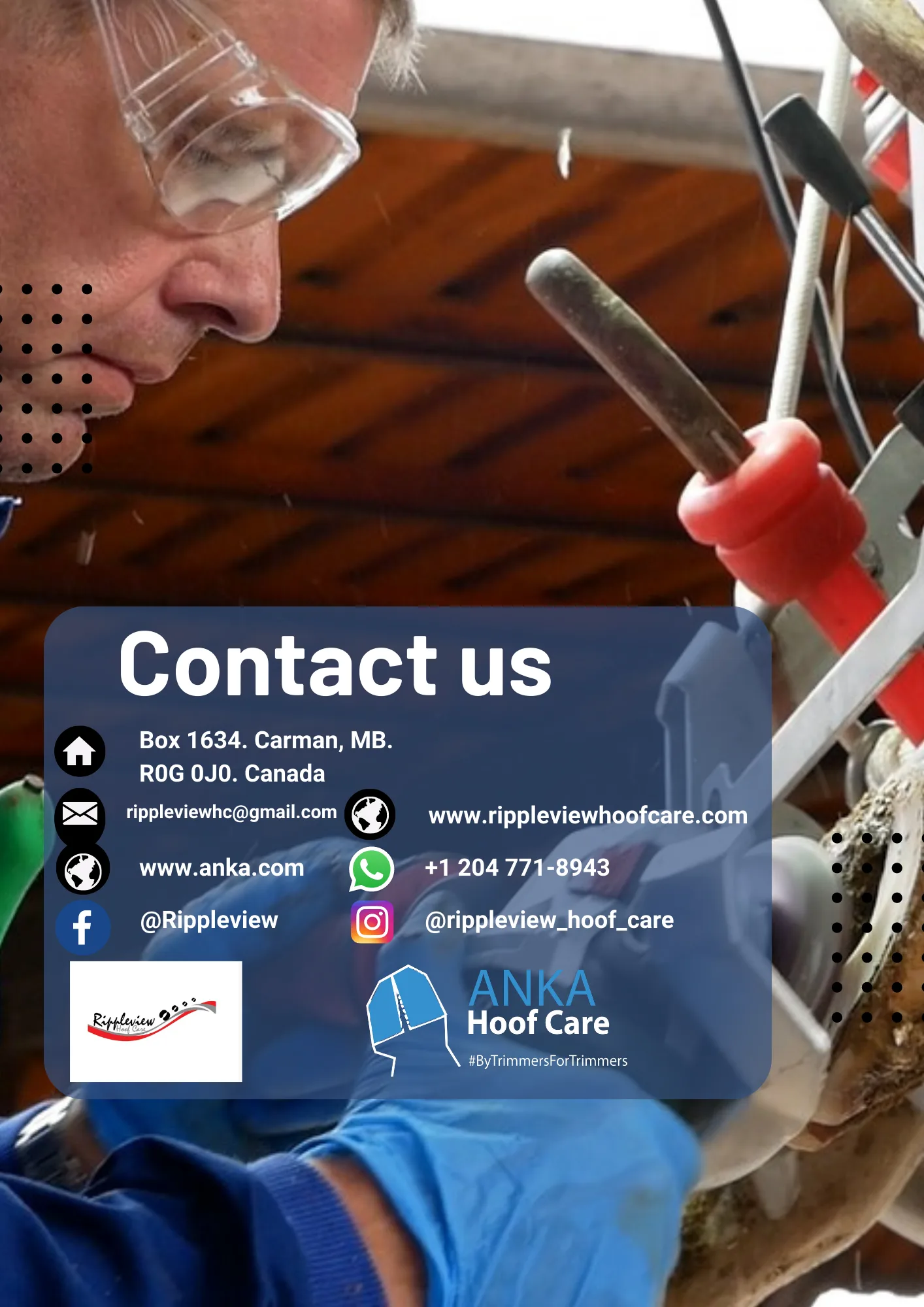 Rippleview Contact Us
