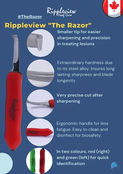 The Razor