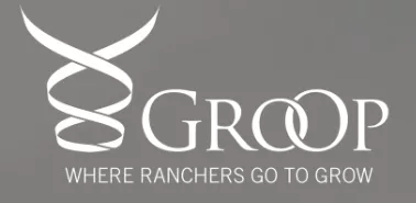Groop llc