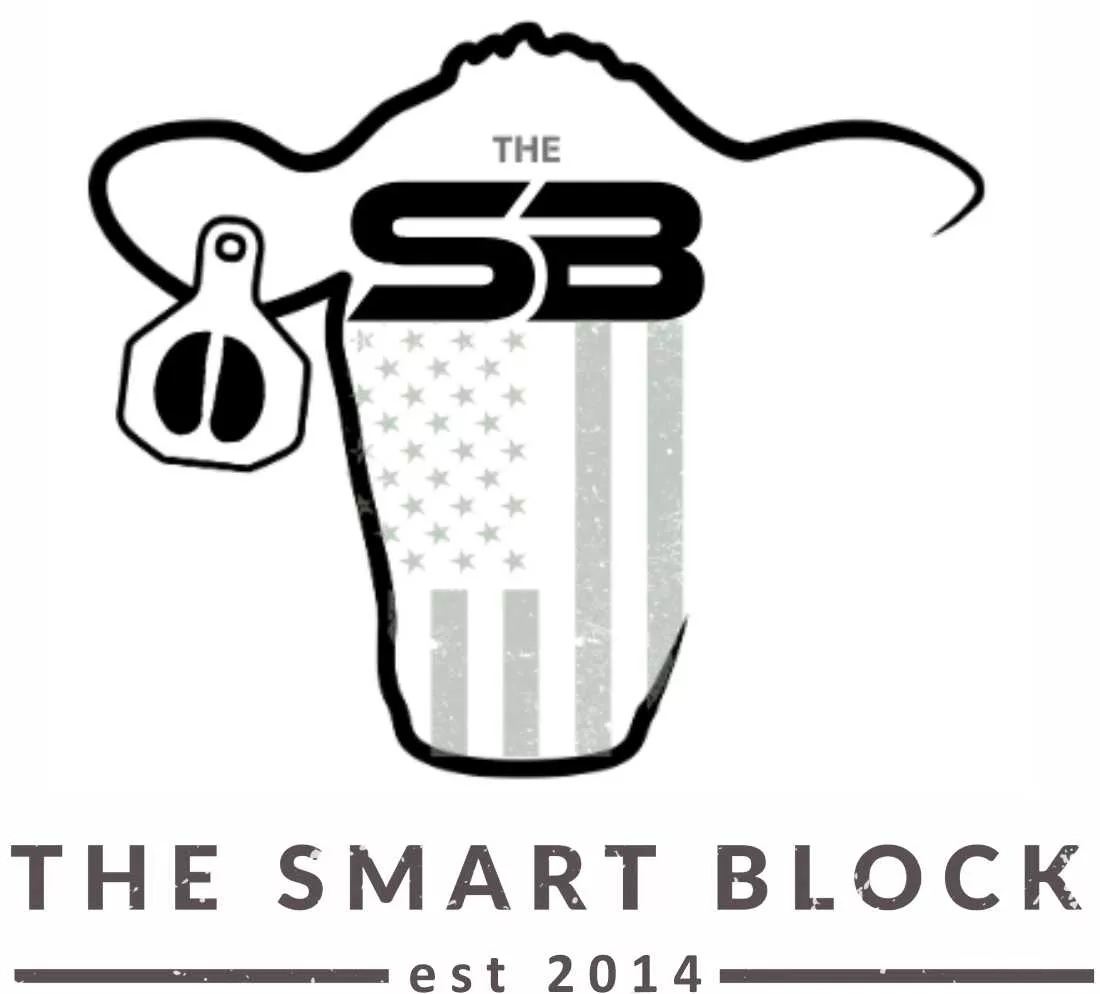 Logo Smart Block NEW.png