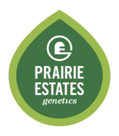 Peg logo web 02