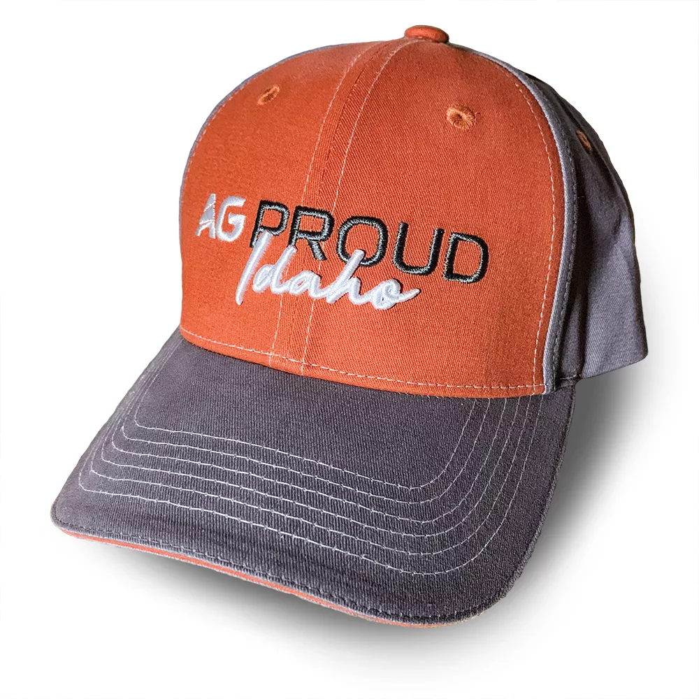 AP-Hat